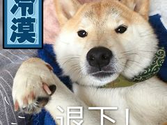-长藤鬼校(千禧店)