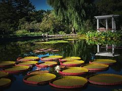 -国家植物园南园