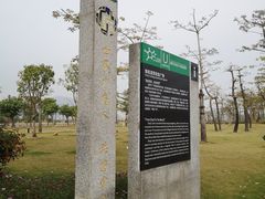 -芒洲湿地公园