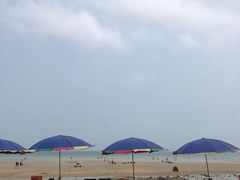 -贝壳沙滩