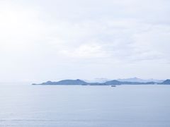 -杨梅坑