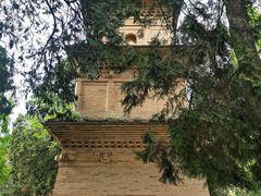 -兴教寺