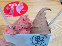 -野人先生现做冰淇淋(北京环宇荟店)