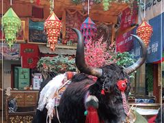 -吉祥圣雪藏餐