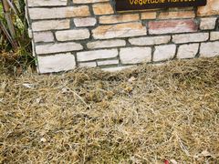 -上海多利农业发展有限公司