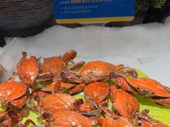 -星伦多自助料理·涮烤一体(江桥万达店)