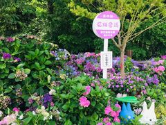 -上海滨江森林公园