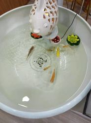-美凰芳华悦颜产后健康管理中心