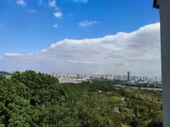 -苏州上方山国家森林公园