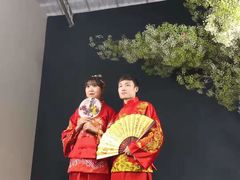 -百万葵园