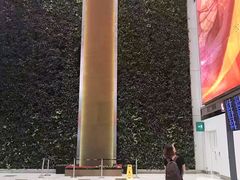 -翠华餐厅(香港国际机场店)