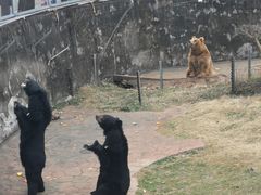-无锡动物园·太湖欢乐园
