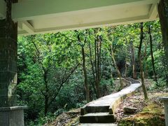 -火炉山森林公园