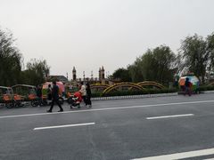 -荷兰花海
