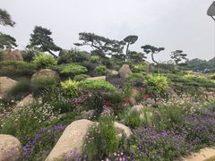 -罗红摄影艺术馆