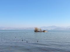 -洱海月湿地公园