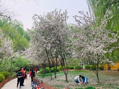 -仁和公园(顺义区)