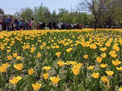 -长春公园(普阳街道)