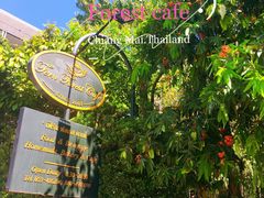 -Fern Forest Cafe