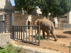 -石家庄市动物园