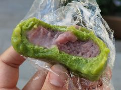 -清华大学-清芬园