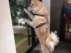 -BOCATA 西班牙餐厅(三里屯店)