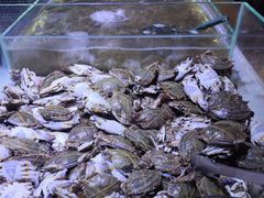 -聚盛源蒸汽海鲜火锅烤肉自助(巨川金海岸购物广场店)