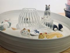 -猫里有甜