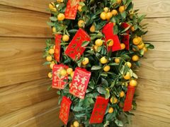 -bluefrog蓝蛙(水游城店)