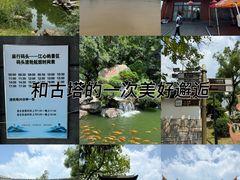-江心屿景区