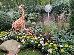 -上海共青森林公园