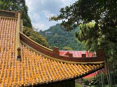-莫干山风景区