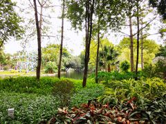 -晓港公园