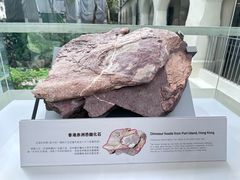 -九龙公园