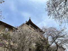 -武汉大学-樱园