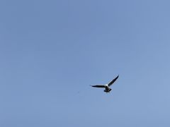 -大连海昌东方水城