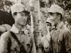 -济南战役纪念馆(济南革命烈士陵园)