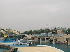 -秦皇岛乐岛海洋王国