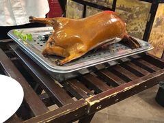 -阿庄新豫菜(航海东路店)