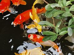 -漫笙舍Manse·咖啡·民宿