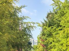 -辽宁大学(崇山校区)