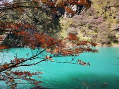 -叠溪松坪沟景区