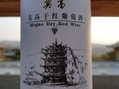 -敦煌山庄摘星阁