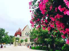-富国岛珍珠游乐园