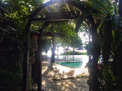 -卷心菜和避孕套餐厅(Pattaya)