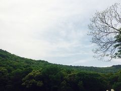 -龙寺生态园