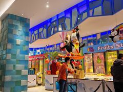 -帝企鹅自助餐厅•儿童岛•真企鹅(长隆企鹅酒店)