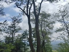 -黄椅山火山森林公园