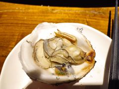 -烧蠔帮·生蚝海鲜牌档(观海店)