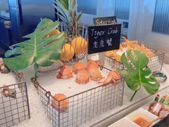 -Social 秀西餐厅-长沙瑞吉酒店(运达店)